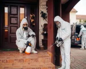 Mosquito Pest Control