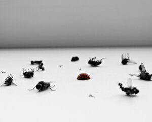 Pest Control Contract